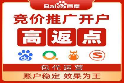 专业SEM托管，案例分析效果显著